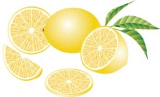 free vector Lemon 8