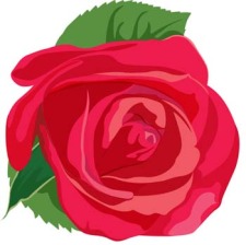 free vector Rose Flower Vetor 17