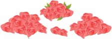 free vector Rose Flower Vetor 14