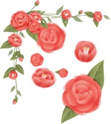 free vector Rose Flower Vetor 37