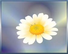 free vector Romashka daisy Flower 1
