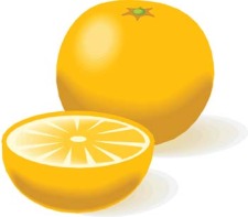 free vector Citrus fruit 2