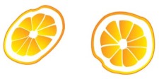 free vector Citrus fruit 9
