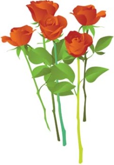 free vector Rose Flower Vetor 5