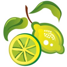 free vector Lemon 10