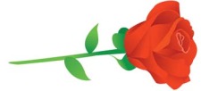 free vector Rose Flower Vetor 24