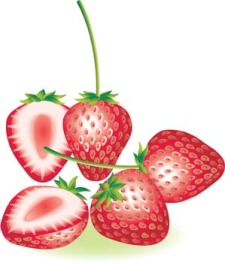 free vector Strawberry 6