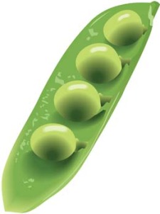 free vector Green peas 4