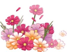 free vector Flower of Seven color 73