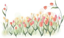 free vector Tulip Flower 23