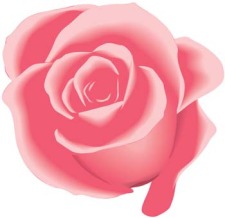 free vector Rose Flower Vetor 26