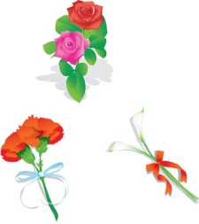 free vector Stalk of roses with ribbon