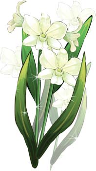 free vector Orchid Flower 3