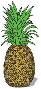 free vector Pineapple 3