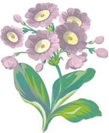 Flo Flower (123095) Free AI Download / 4 Vector