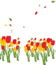 free vector Tulip Flower 17