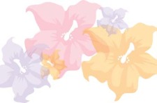 free vector Flower of Seven color 12