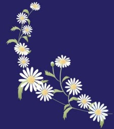 free vector Romashka daisy Flower 8