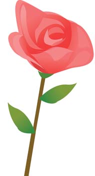 free vector Rose Flower Vetor 13