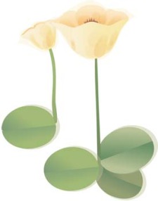 free vector Flower of Seven color 47