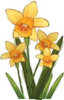 free vector Narcis Flower 5