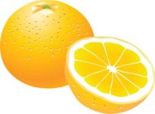 free vector Citrus fruit 10
