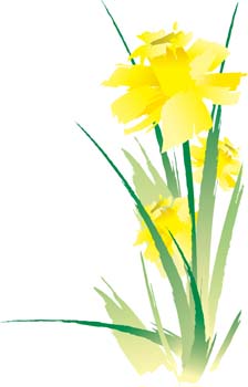 free vector Narcis Flower 14