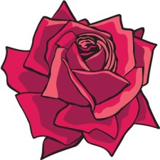 free vector Rose Flower Vetor 2