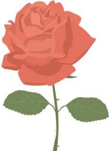 free vector Rose Flower Vetor 4
