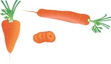 free vector Carrot 3