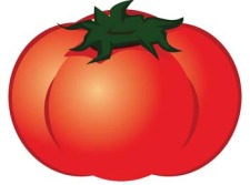 free vector Tomato 5