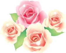 free vector Rose Flower Vetor 46
