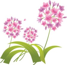 free vector Flo Flower 4