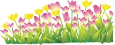 free vector Tulip Flower 16