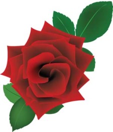 free vector Rose Flower Vetor 19