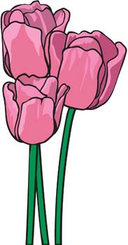 free vector Tulip Flower 1