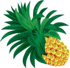 free vector Pineapple 6
