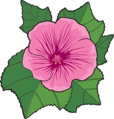 free vector Malva Flower