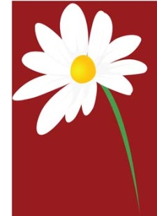 free vector Romashka daisy Flower 7
