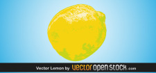 free vector Lemon Vector