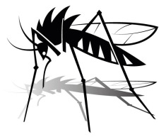 free vector Mosquito Vector Graphics