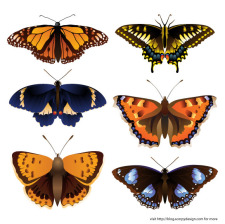 free vector Butterfly Vector