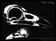 free vector Bird Skull