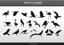 free vector Collection of Birds Silhouettes
