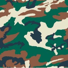 free vector Camouflage Pattern 2