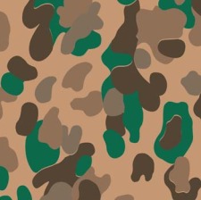 free vector Camouflage Pattern 1