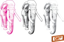 free vector Elephant Illustration
