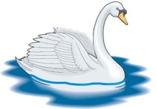 free vector Swan 6