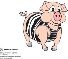 free vector Pig 2