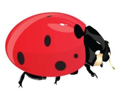 free vector Red Bugs 1